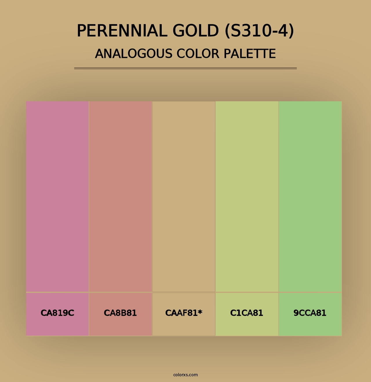 Perennial Gold (S310-4) - Analogous Color Palette