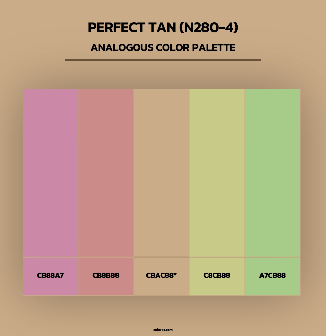 Perfect Tan (N280-4) - Analogous Color Palette