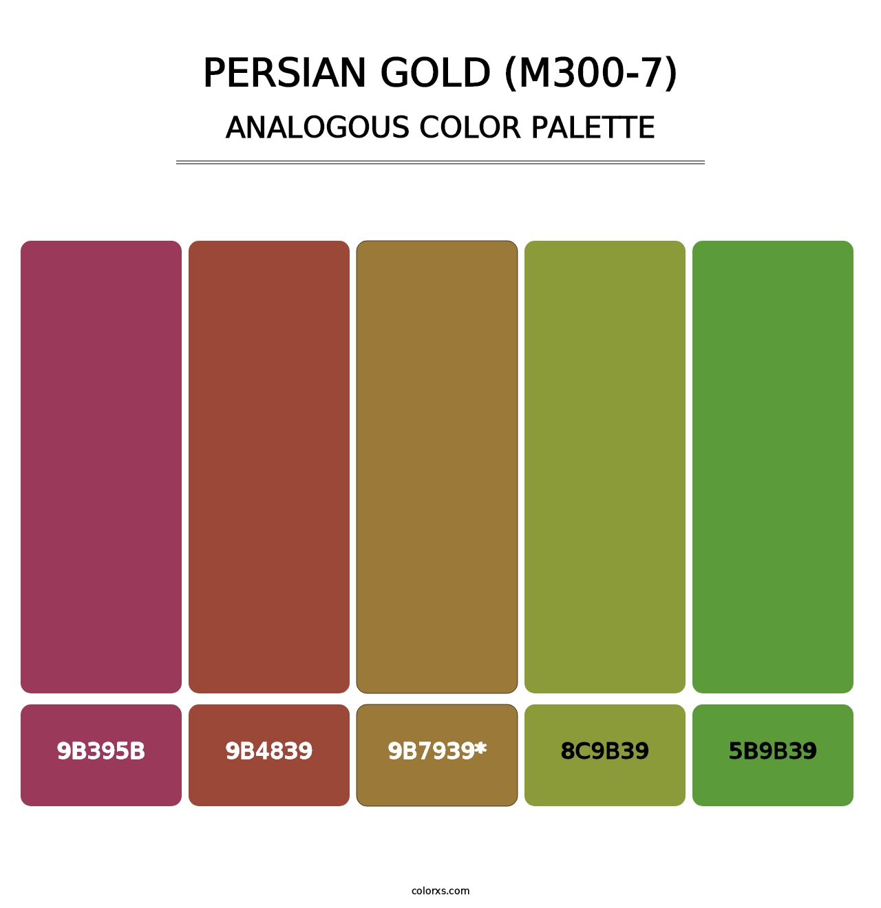 Persian Gold (M300-7) - Analogous Color Palette