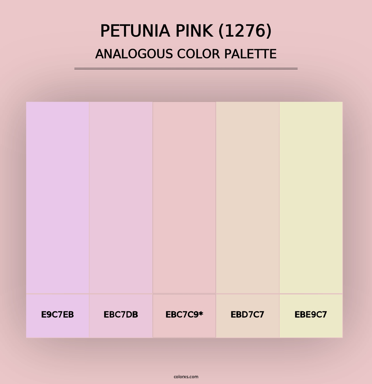 Petunia Pink (1276) - Analogous Color Palette