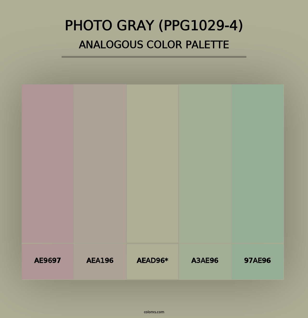 Photo Gray (PPG1029-4) - Analogous Color Palette