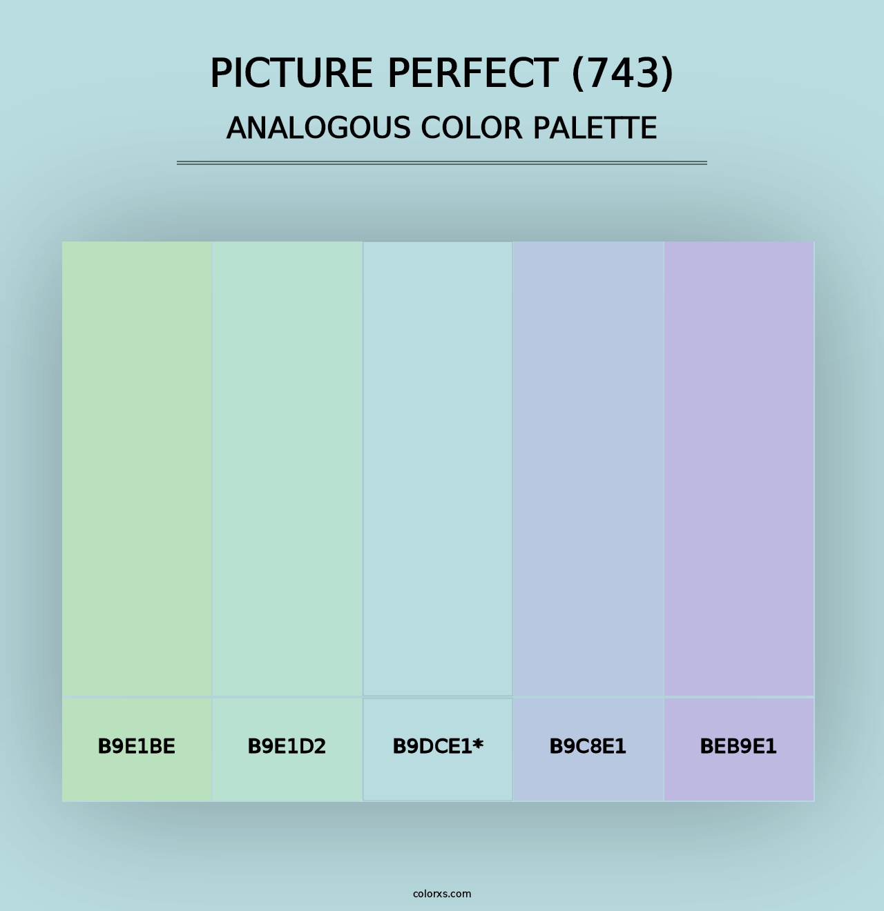 Picture Perfect (743) - Analogous Color Palette