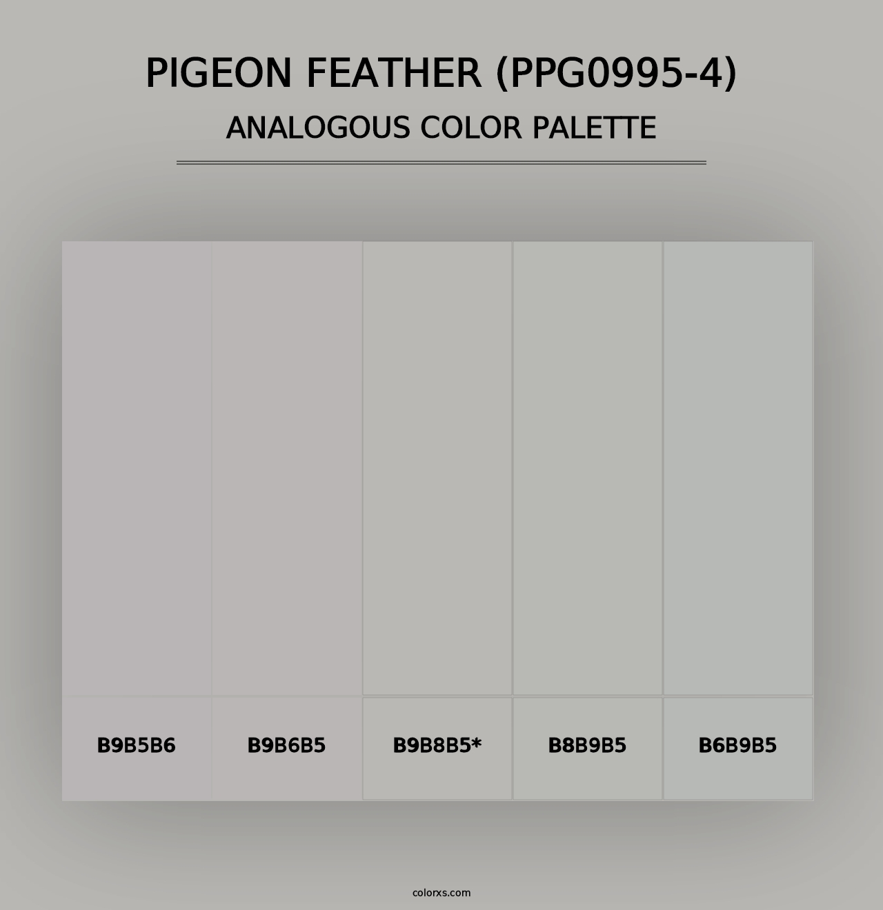 Pigeon Feather (PPG0995-4) - Analogous Color Palette