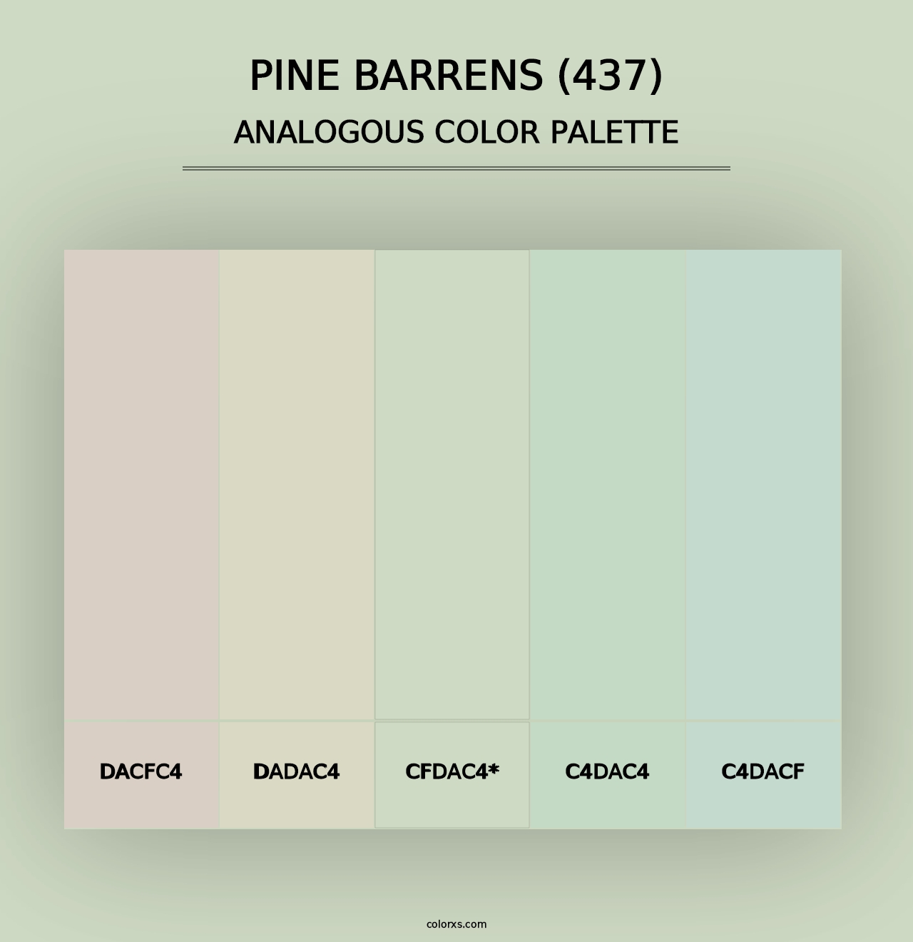 Pine Barrens (437) - Analogous Color Palette