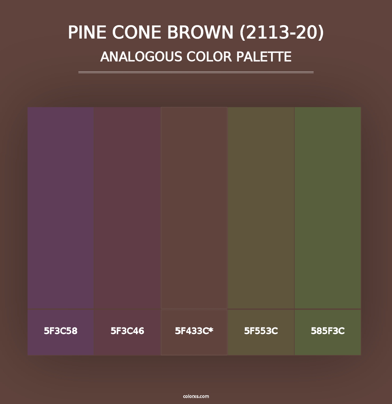 Pine Cone Brown (2113-20) - Analogous Color Palette