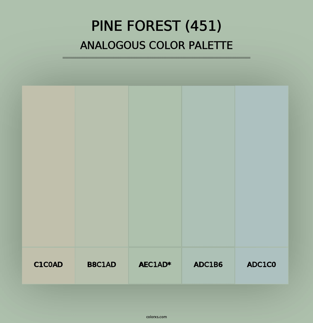 Pine Forest (451) - Analogous Color Palette