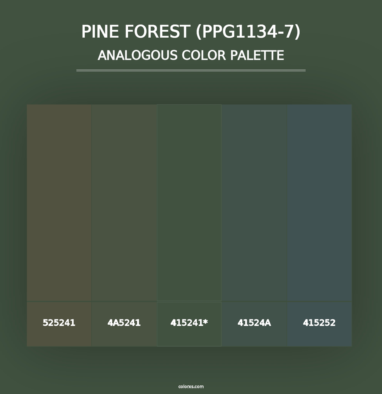 Pine Forest (PPG1134-7) - Analogous Color Palette