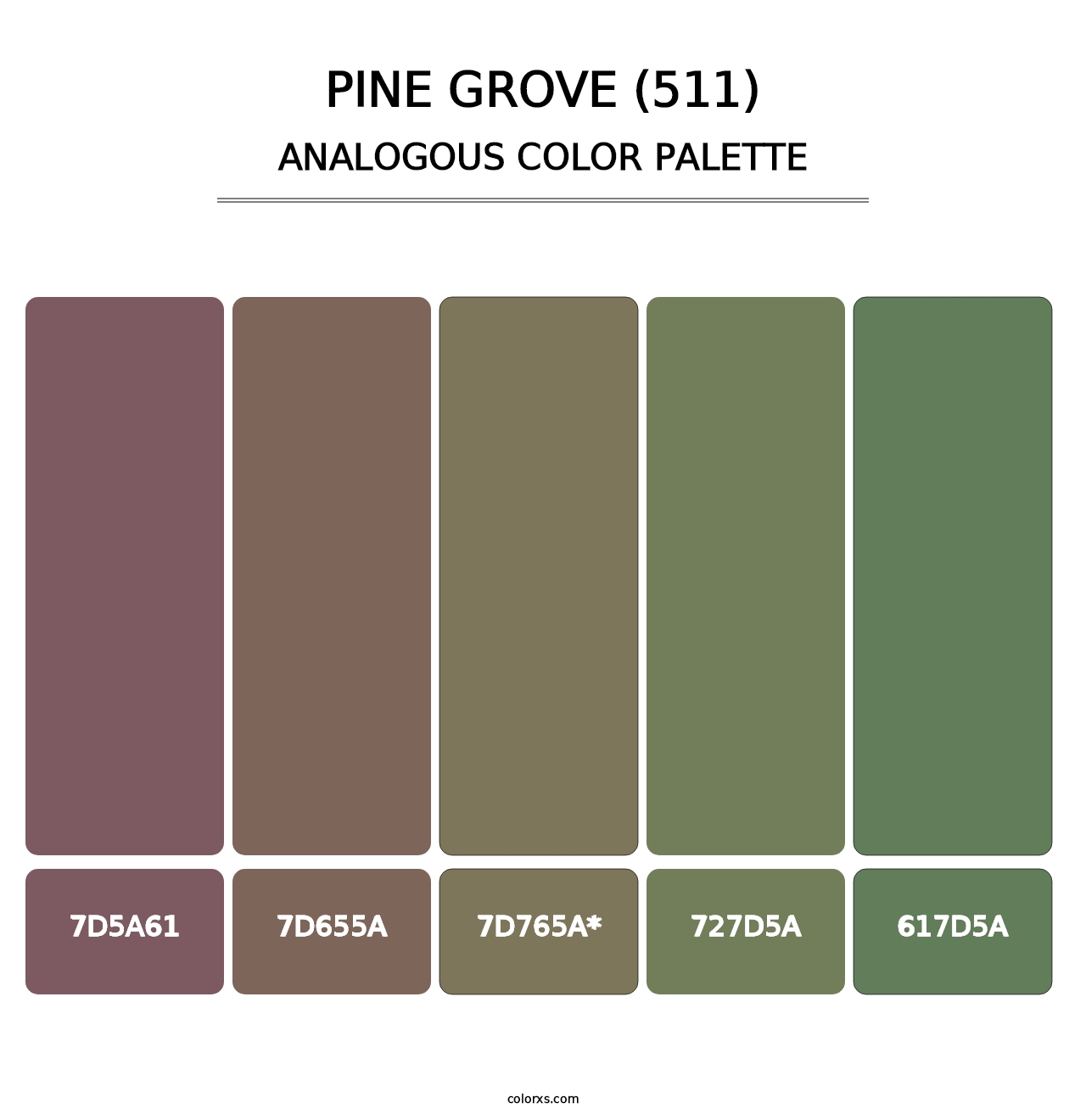 Pine Grove (511) - Analogous Color Palette