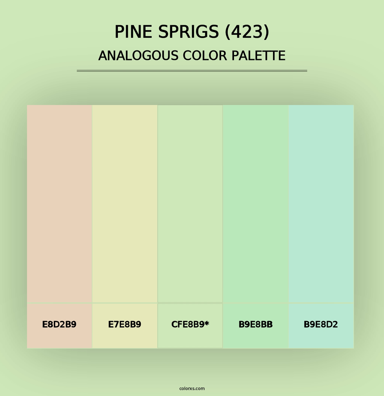 Pine Sprigs (423) - Analogous Color Palette