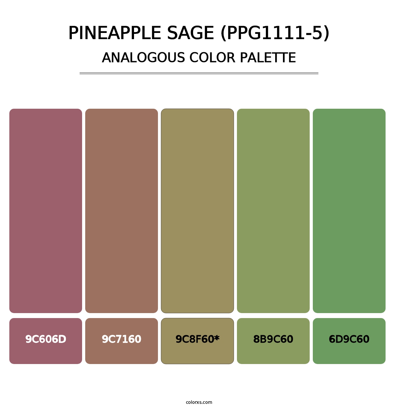 Pineapple Sage (PPG1111-5) - Analogous Color Palette