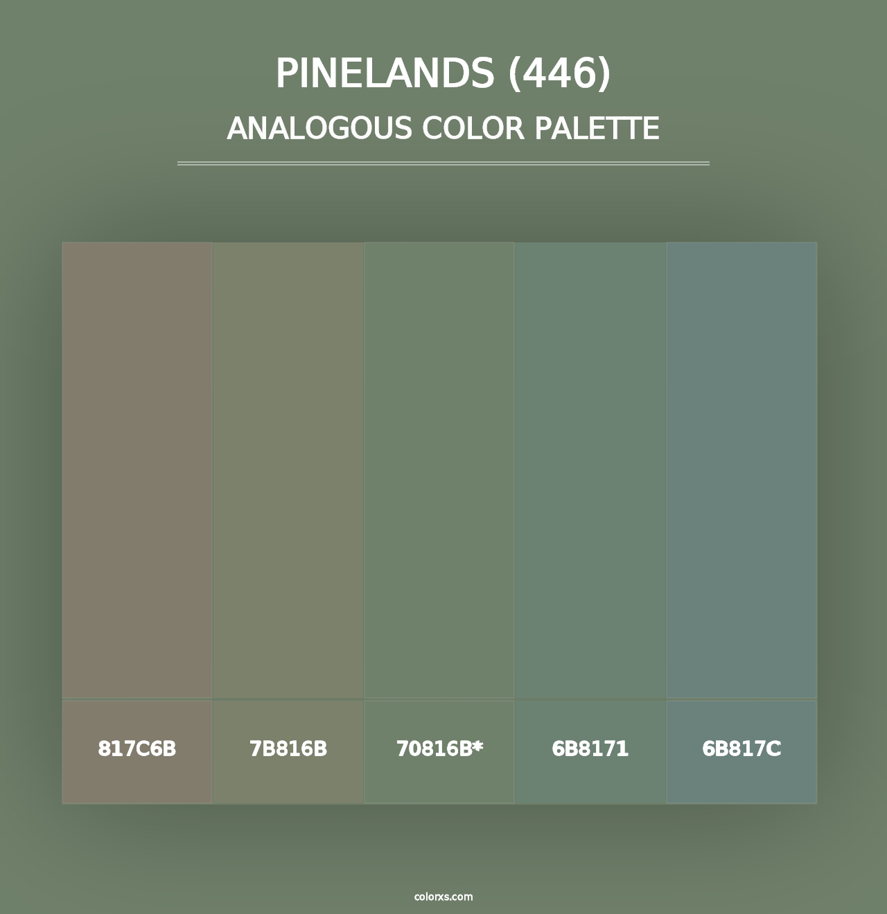 Pinelands (446) - Analogous Color Palette