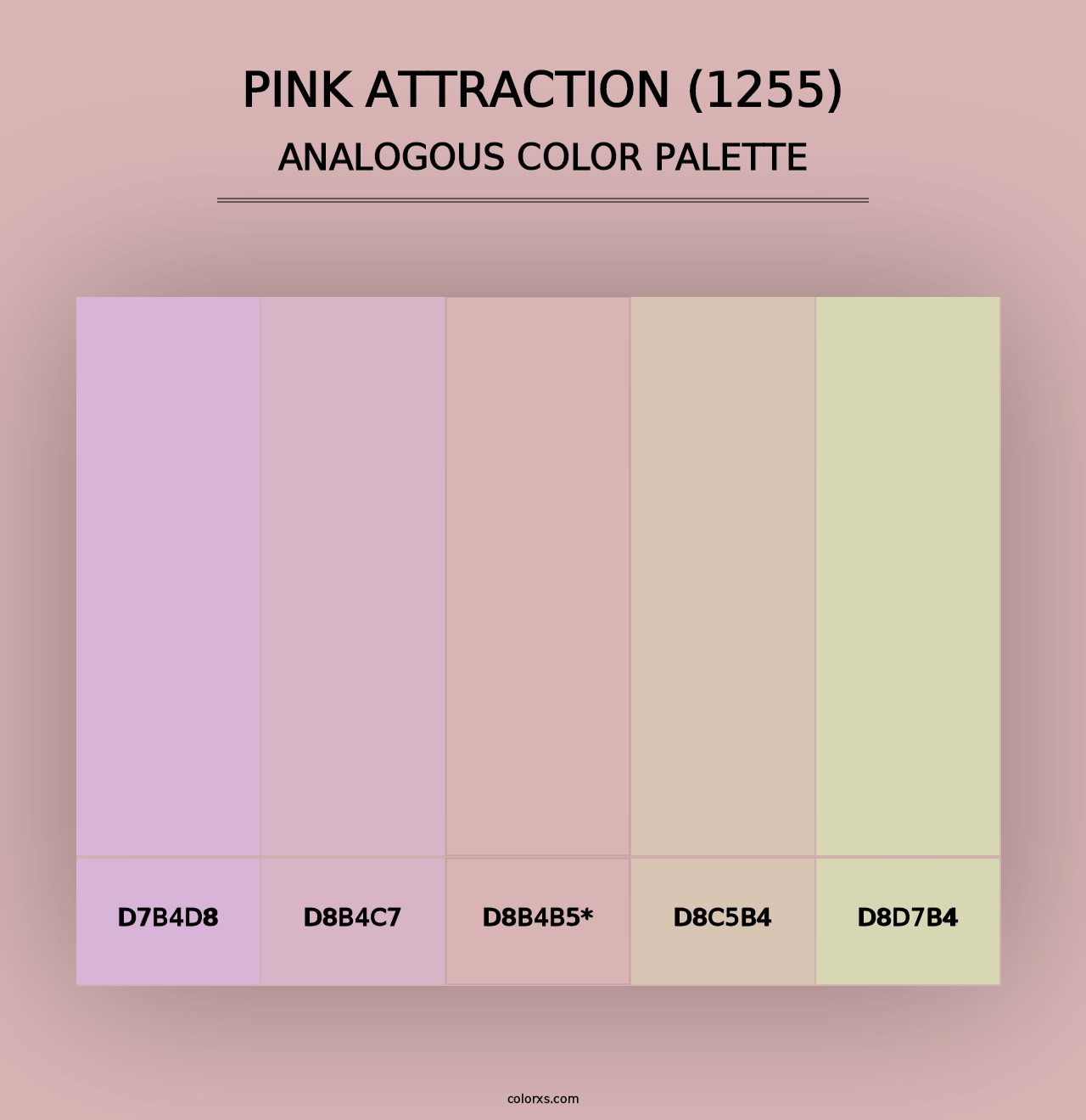 Pink Attraction (1255) - Analogous Color Palette