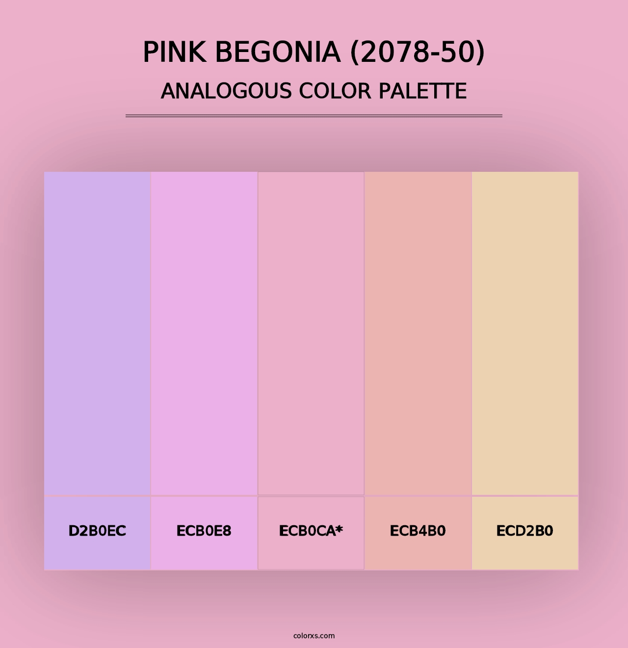 Pink Begonia (2078-50) - Analogous Color Palette