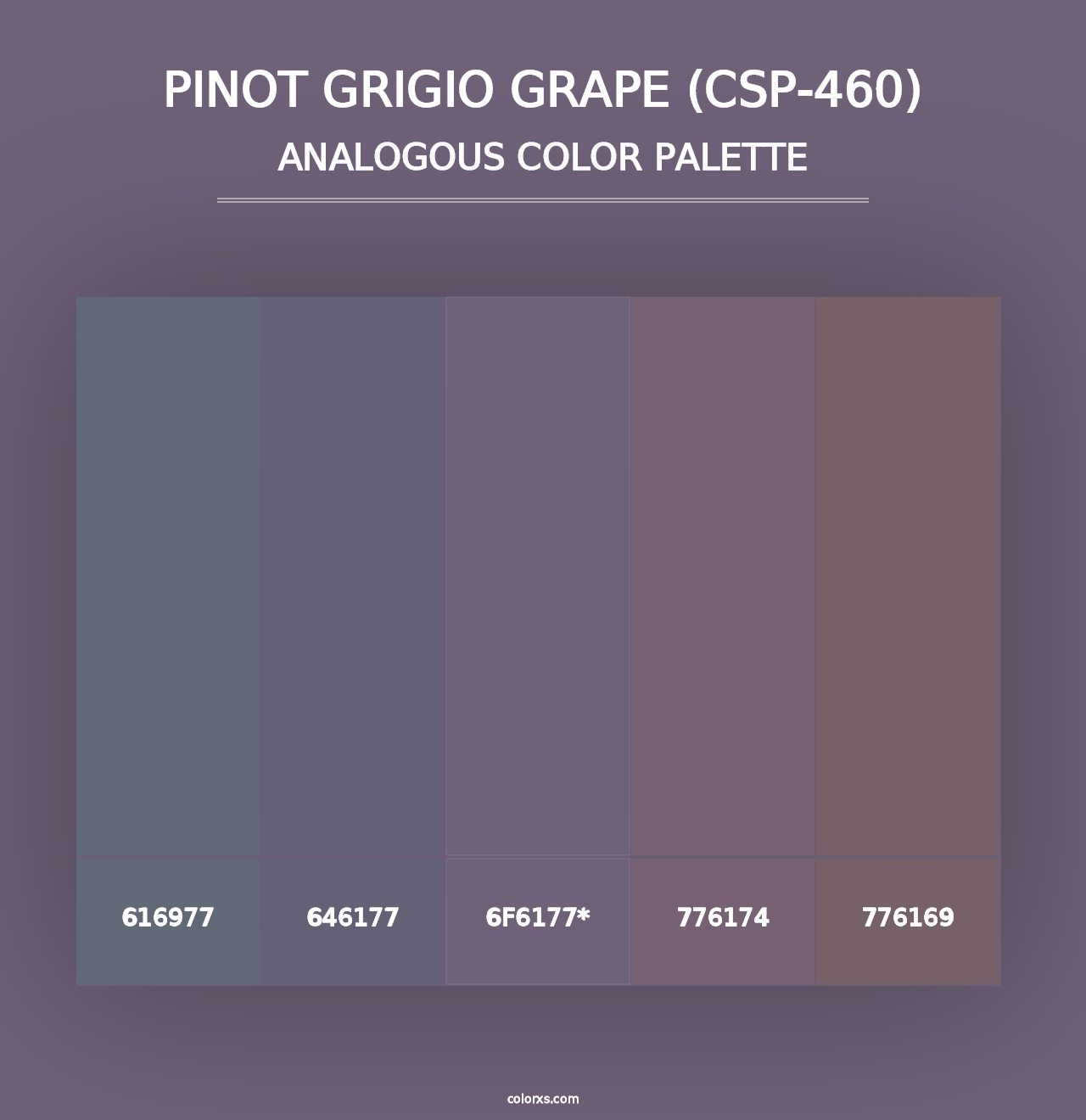 Pinot Grigio Grape (CSP-460) - Analogous Color Palette