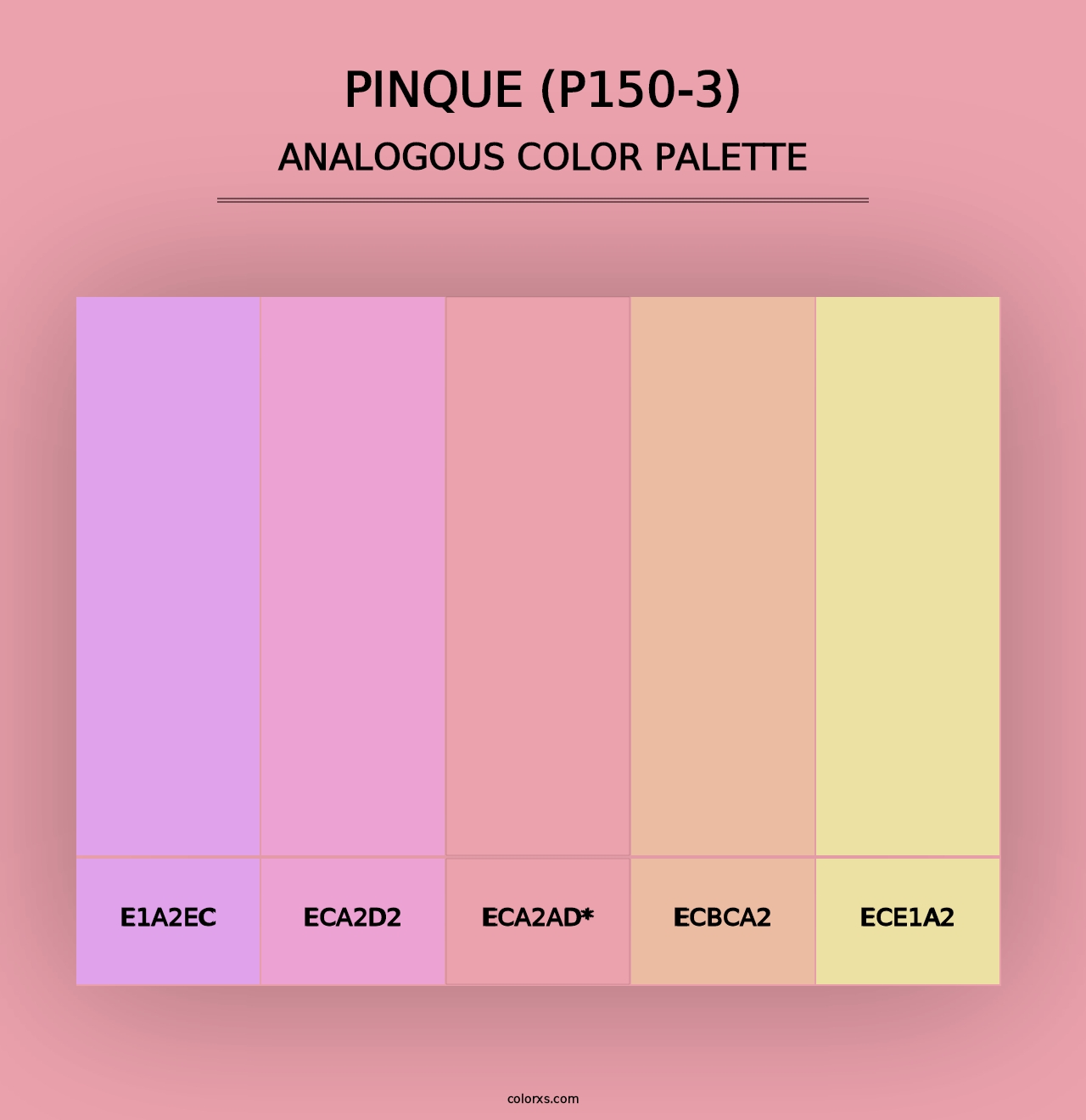 Pinque (P150-3) - Analogous Color Palette