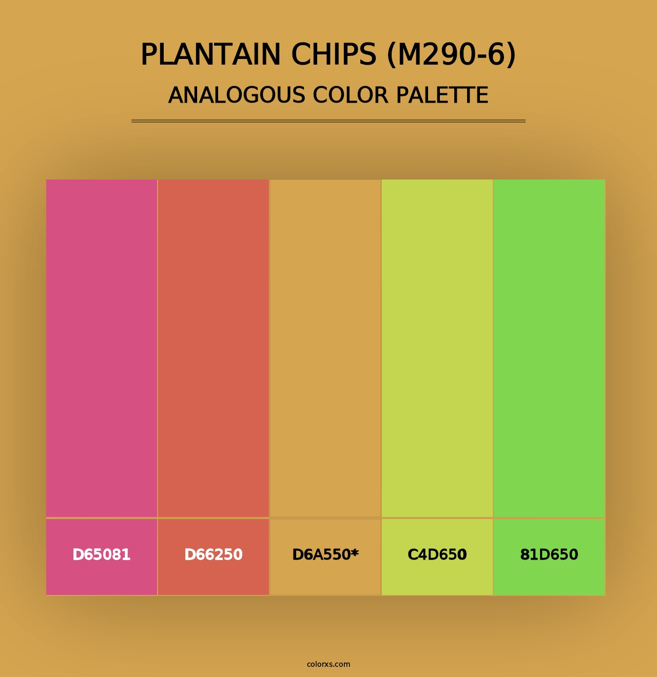 Plantain Chips (M290-6) - Analogous Color Palette