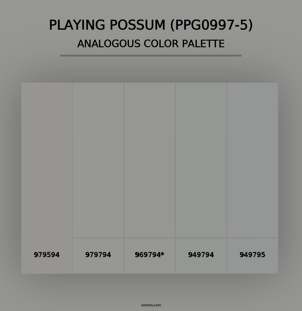 Playing Possum (PPG0997-5) - Analogous Color Palette