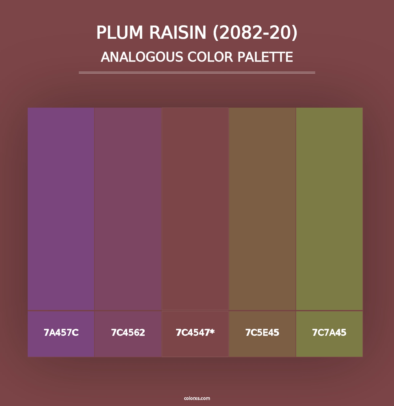 Plum Raisin (2082-20) - Analogous Color Palette