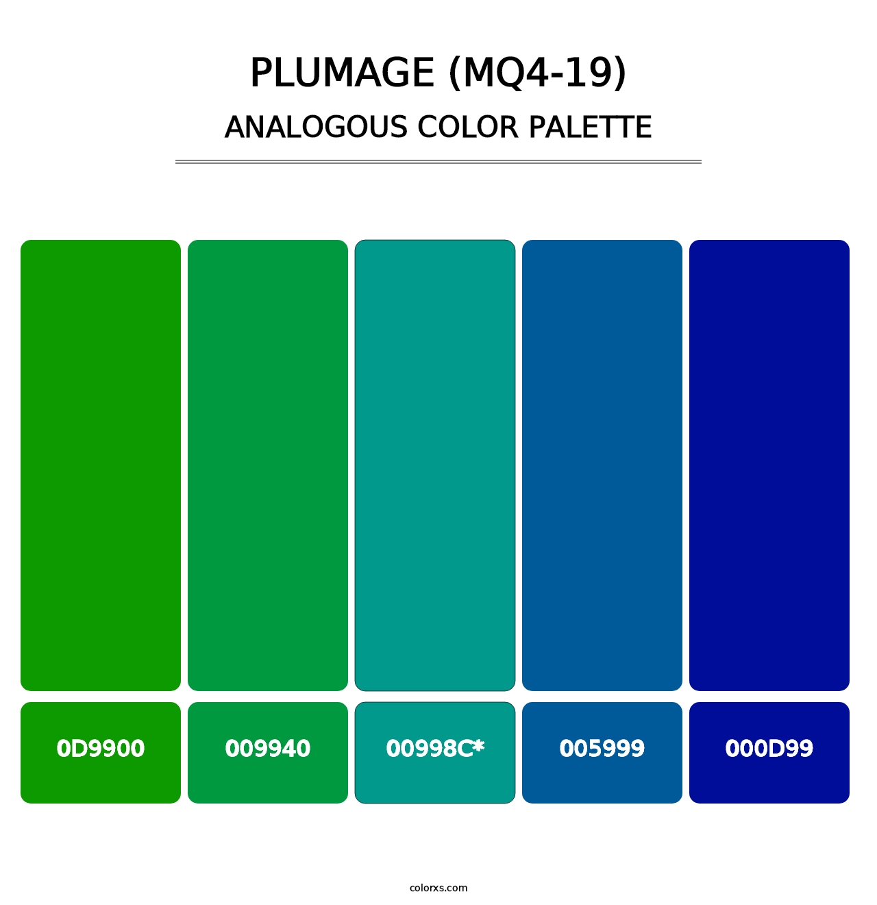 Plumage (MQ4-19) - Analogous Color Palette