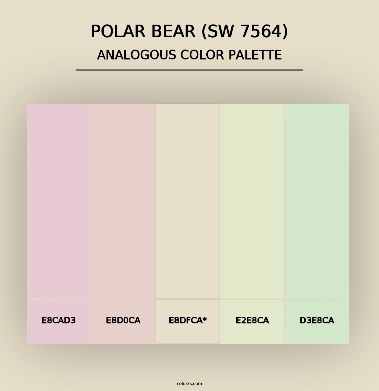 Polar Bear (SW 7564) - Analogous Color Palette