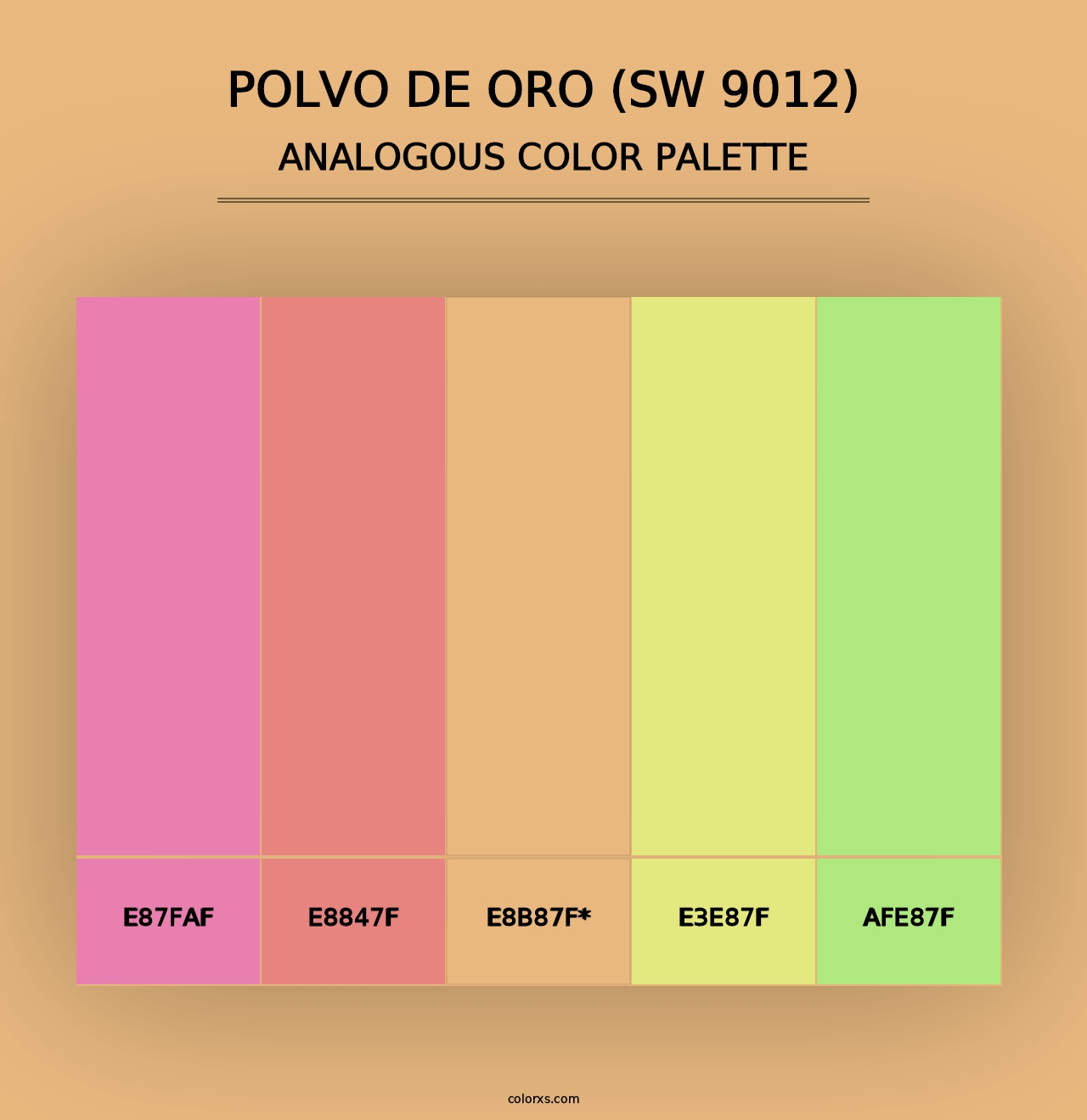 Polvo de Oro (SW 9012) - Analogous Color Palette