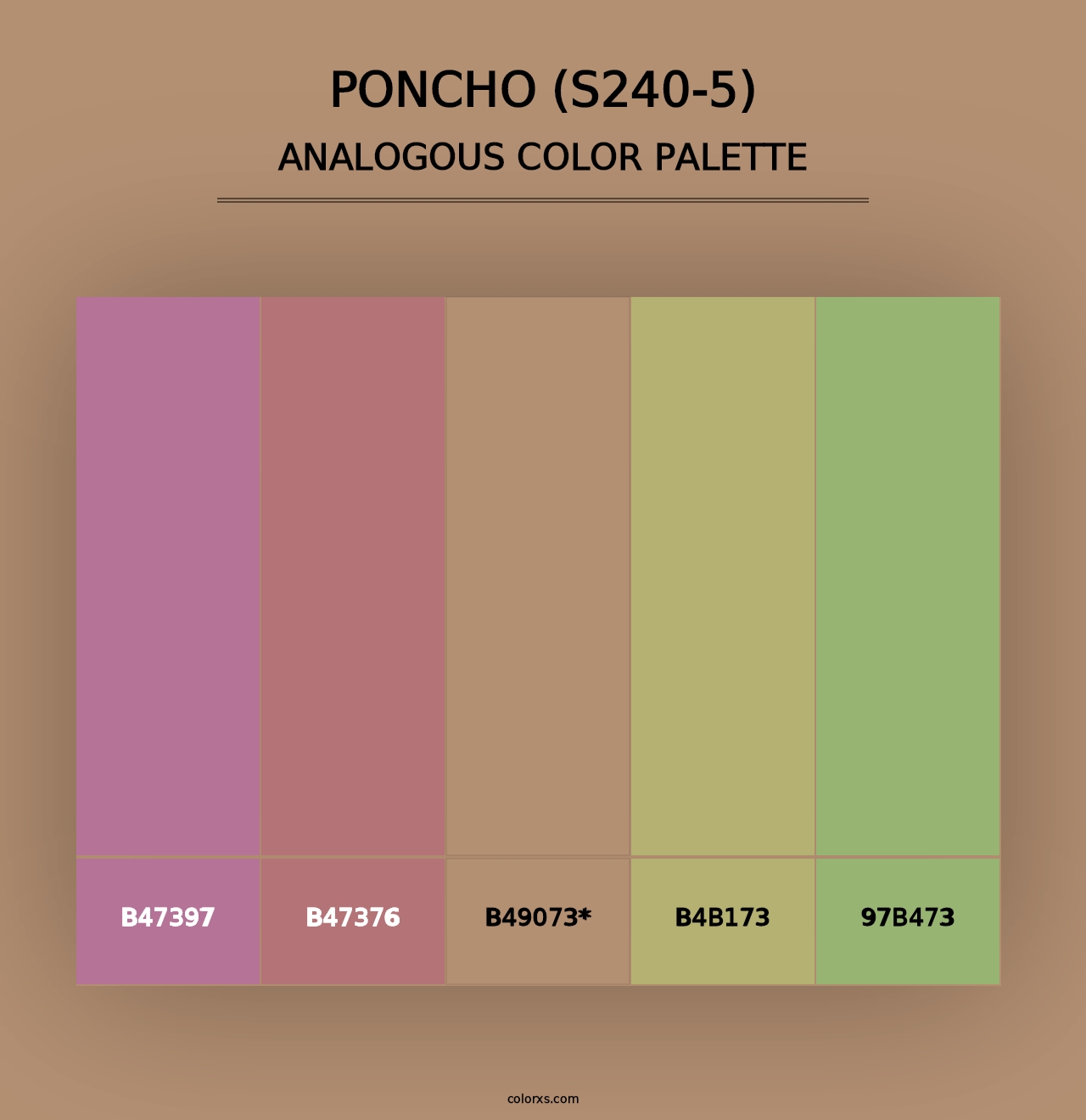 Poncho (S240-5) - Analogous Color Palette