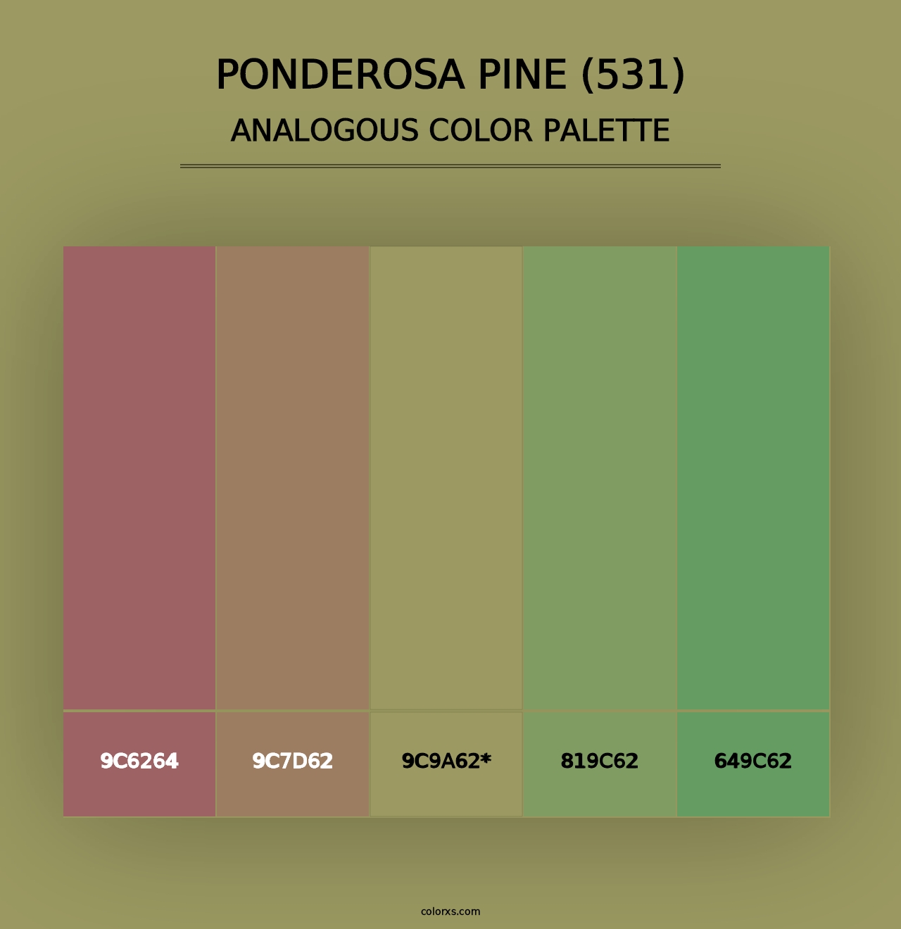 Ponderosa Pine (531) - Analogous Color Palette