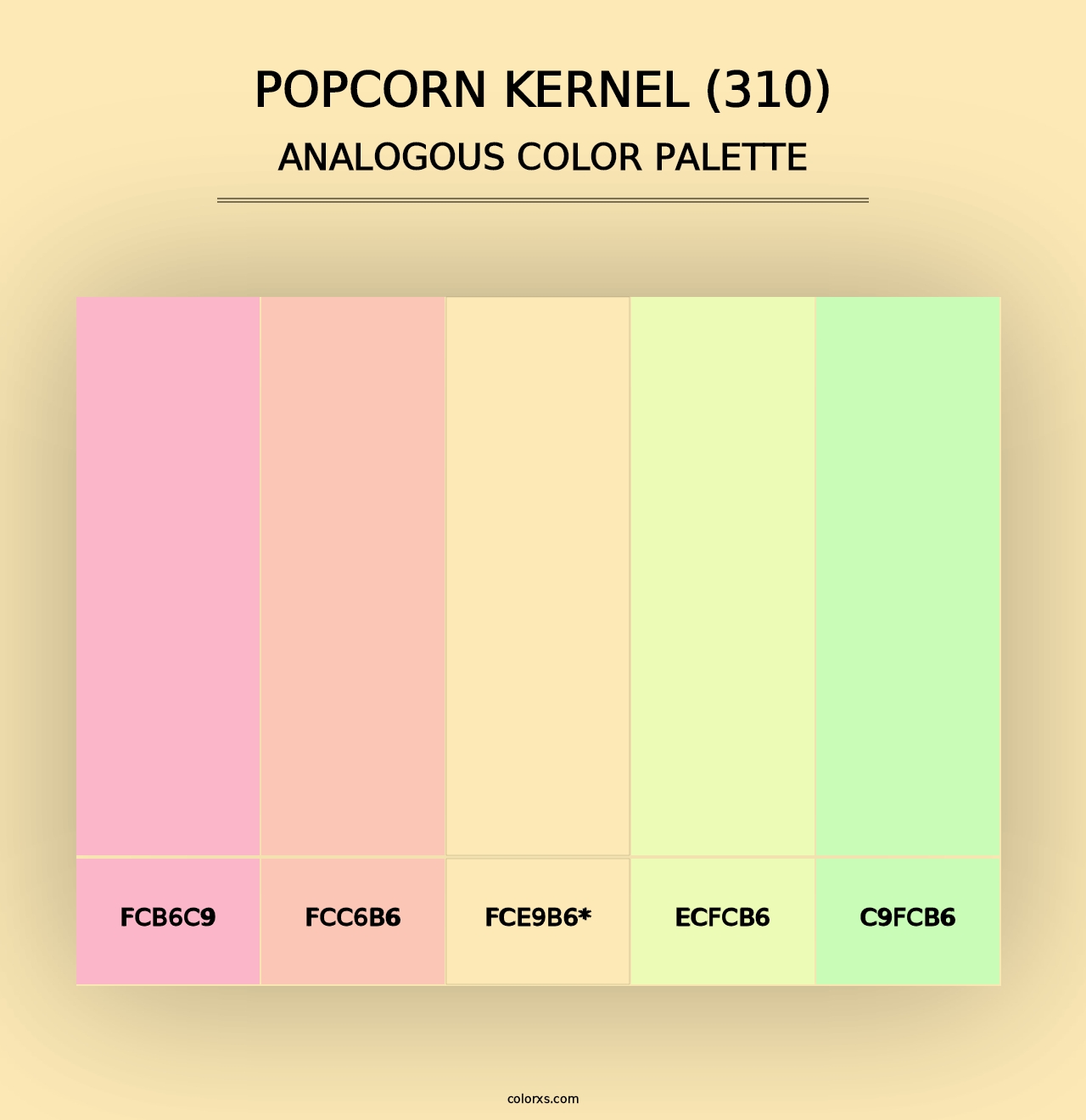 Popcorn Kernel (310) - Analogous Color Palette