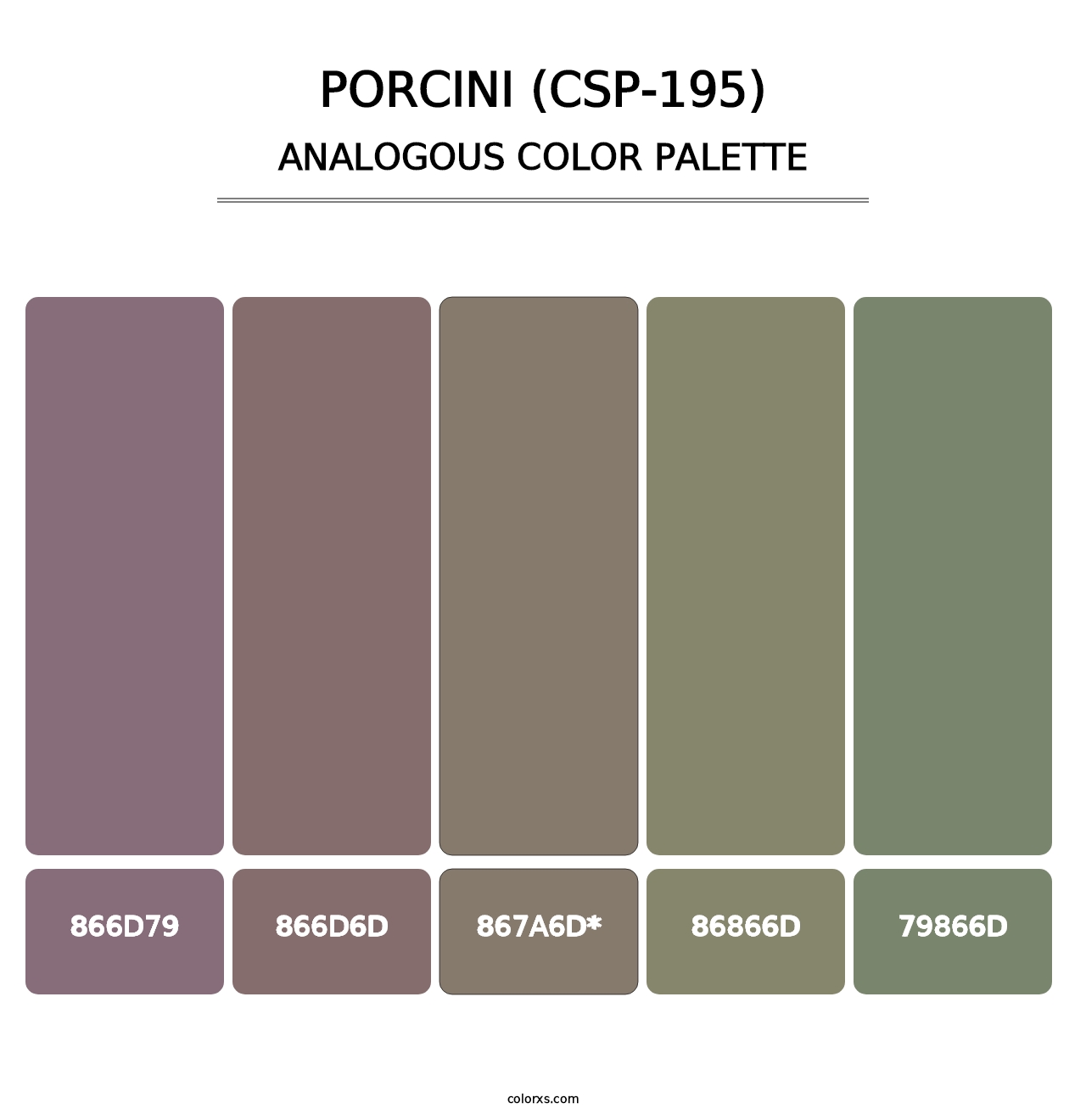 Porcini (CSP-195) - Analogous Color Palette