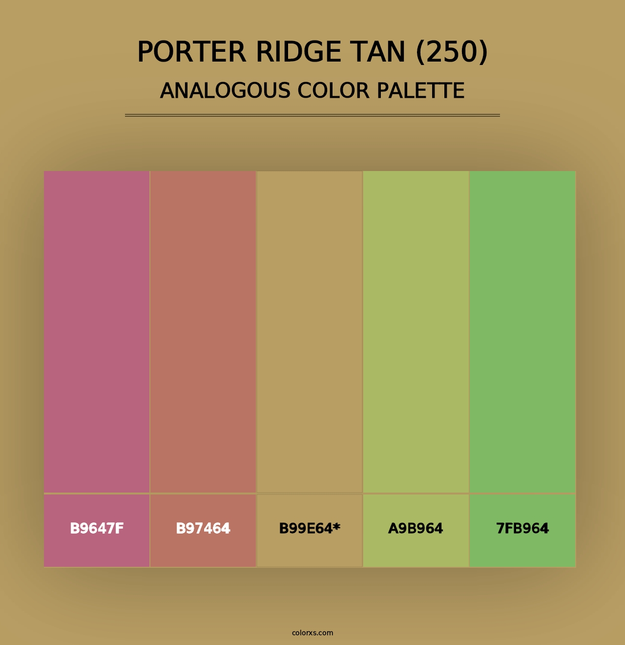 Porter Ridge Tan (250) - Analogous Color Palette