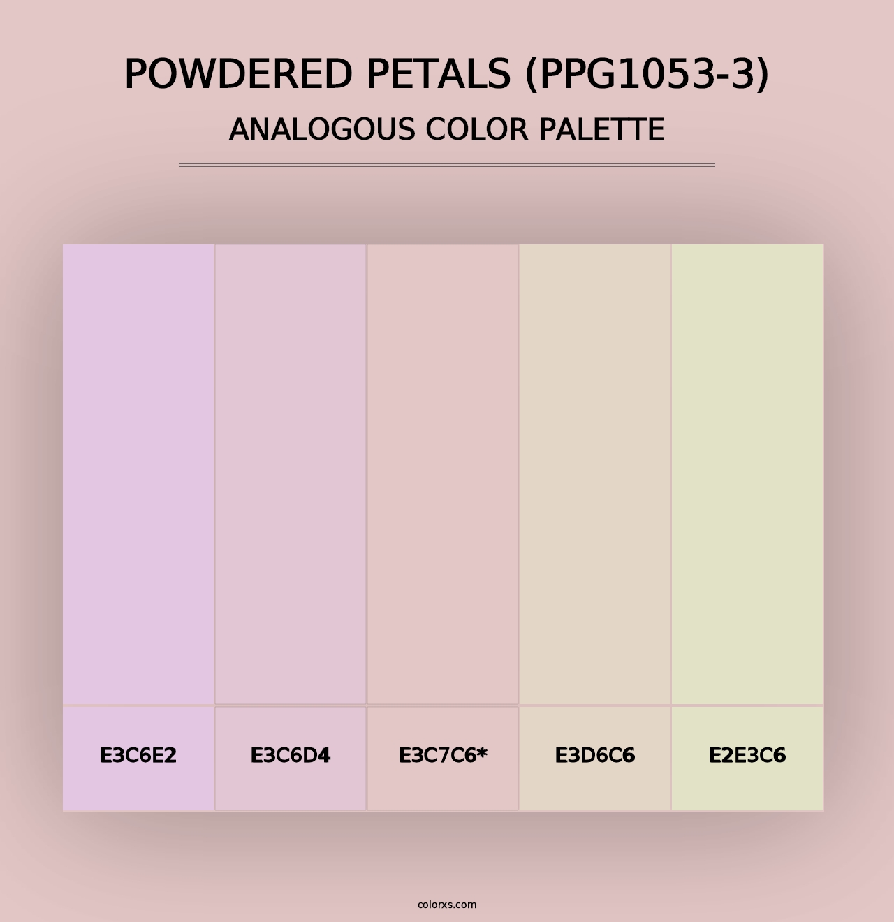 Powdered Petals (PPG1053-3) - Analogous Color Palette