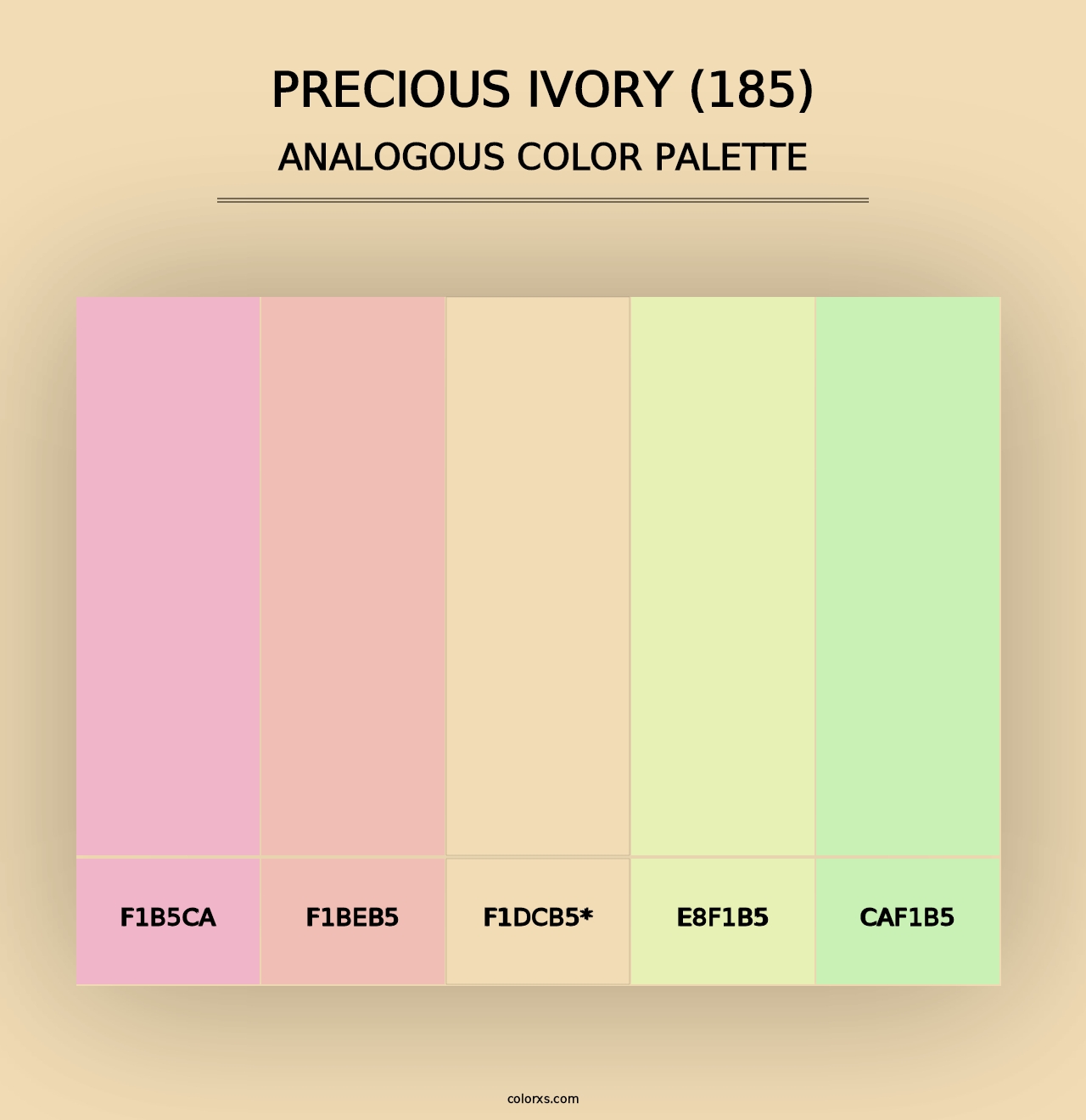 Precious Ivory (185) - Analogous Color Palette