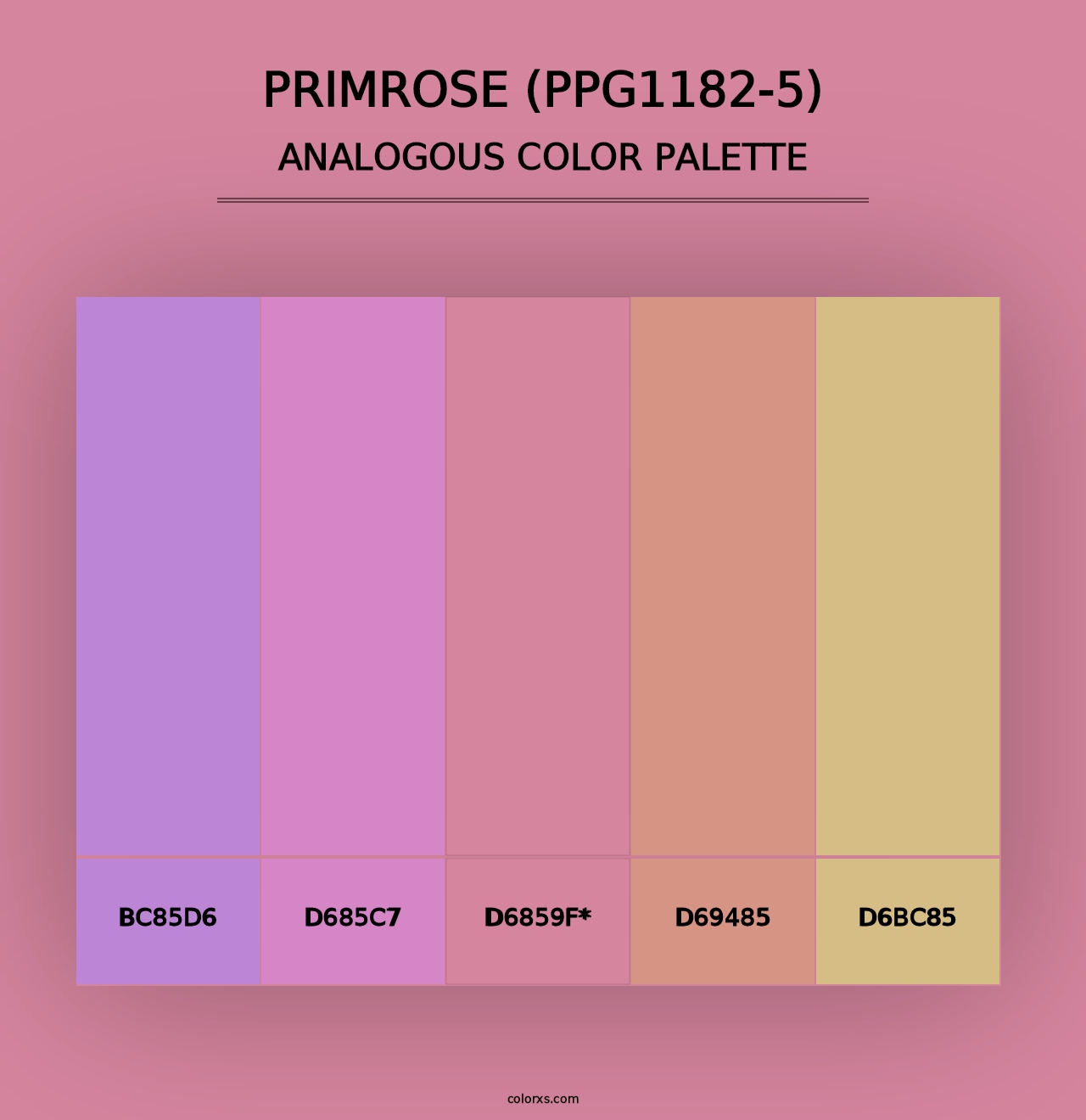 Primrose (PPG1182-5) - Analogous Color Palette