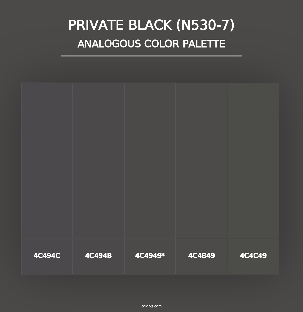 Private Black (N530-7) - Analogous Color Palette