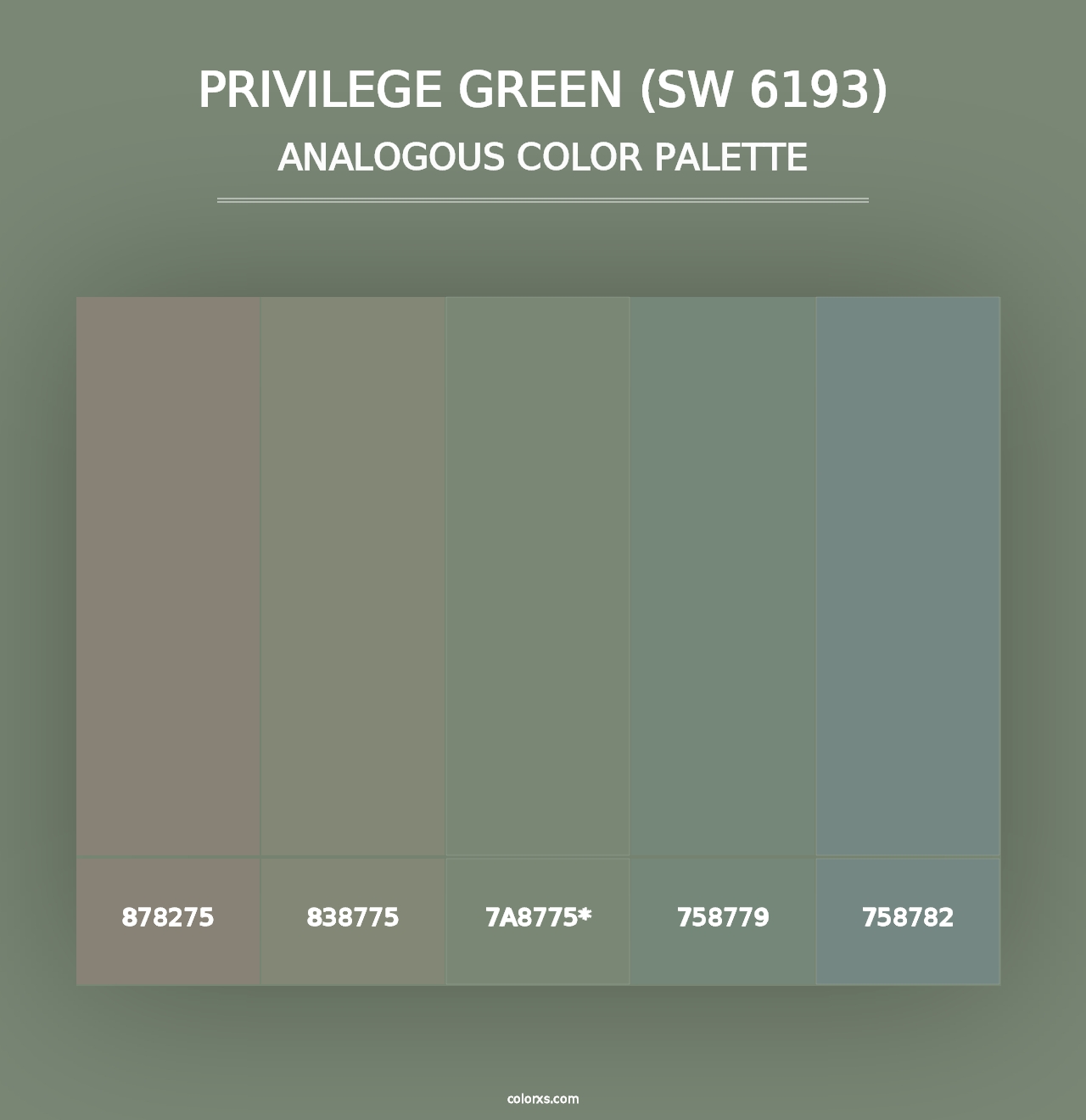 Privilege Green (SW 6193) - Analogous Color Palette