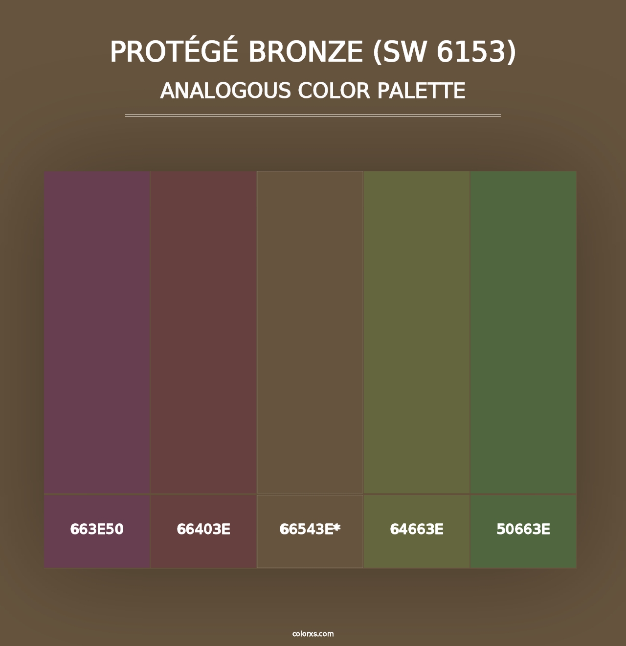 Protégé Bronze (SW 6153) - Analogous Color Palette