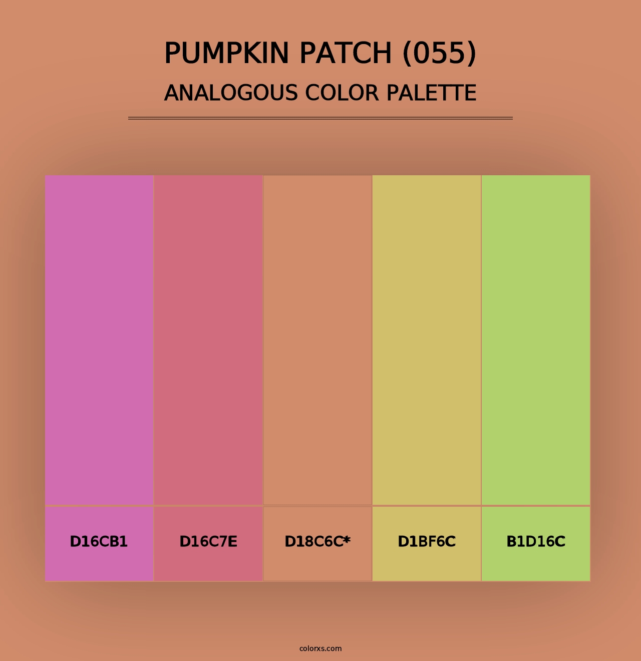 Pumpkin Patch (055) - Analogous Color Palette