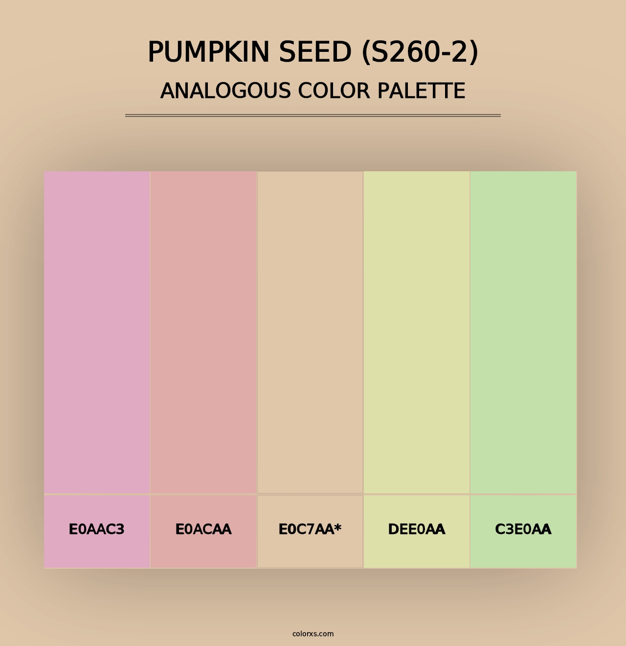 Pumpkin Seed (S260-2) - Analogous Color Palette