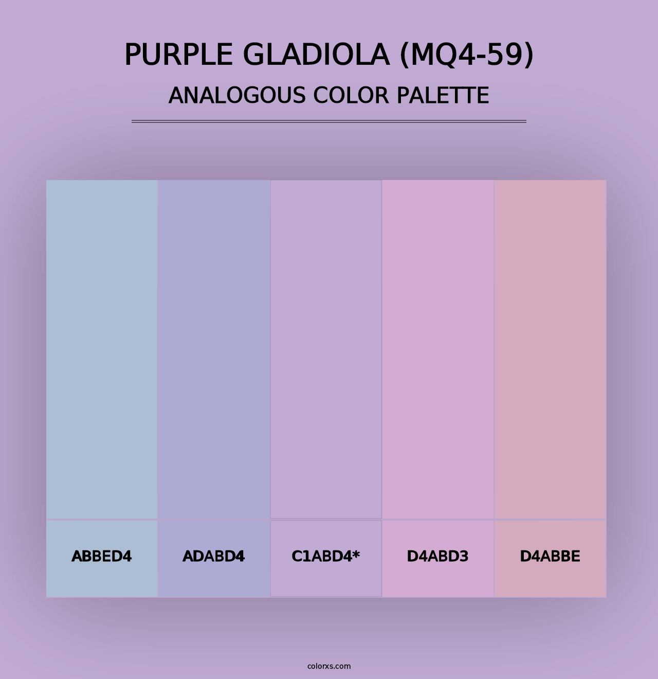 Purple Gladiola (MQ4-59) - Analogous Color Palette