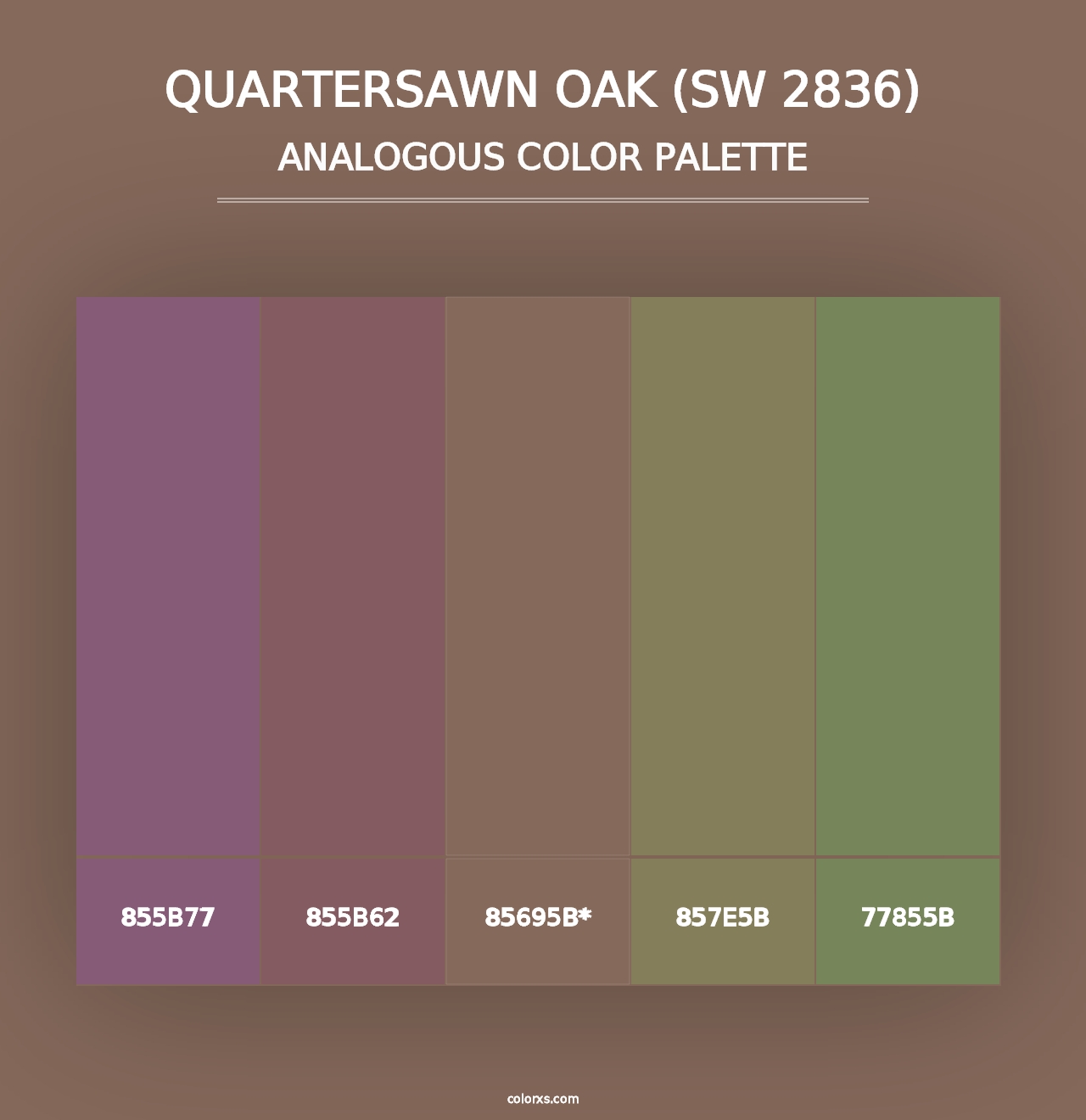 Quartersawn Oak (SW 2836) - Analogous Color Palette