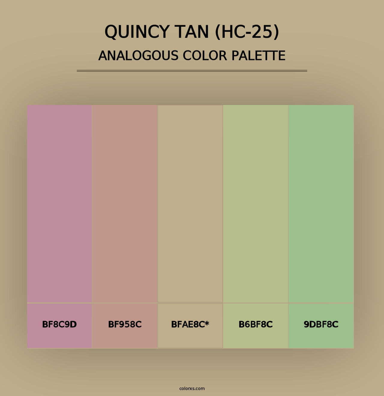 Quincy Tan (HC-25) - Analogous Color Palette