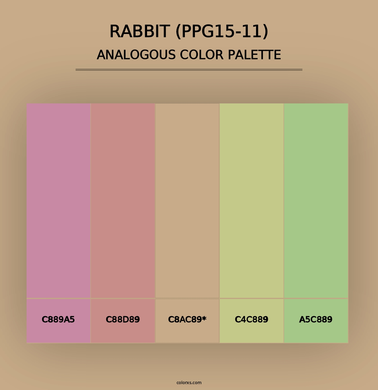 Rabbit (PPG15-11) - Analogous Color Palette