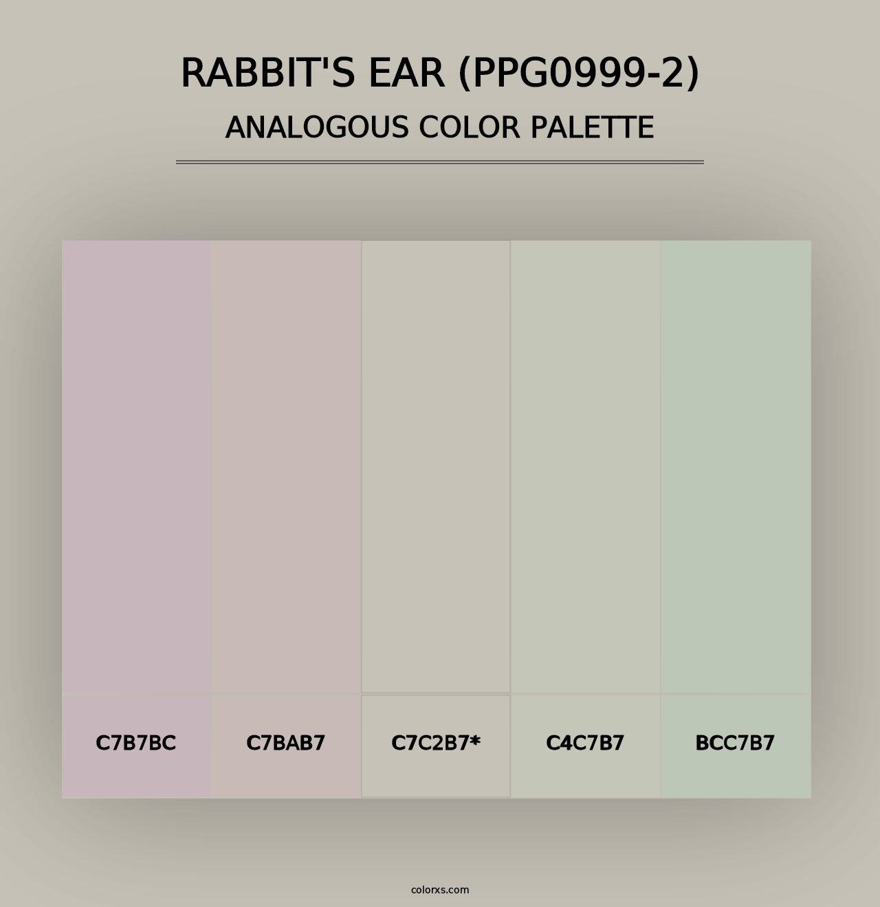 Rabbit's Ear (PPG0999-2) - Analogous Color Palette