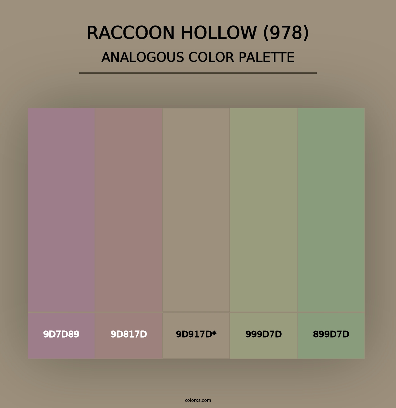 Raccoon Hollow (978) - Analogous Color Palette