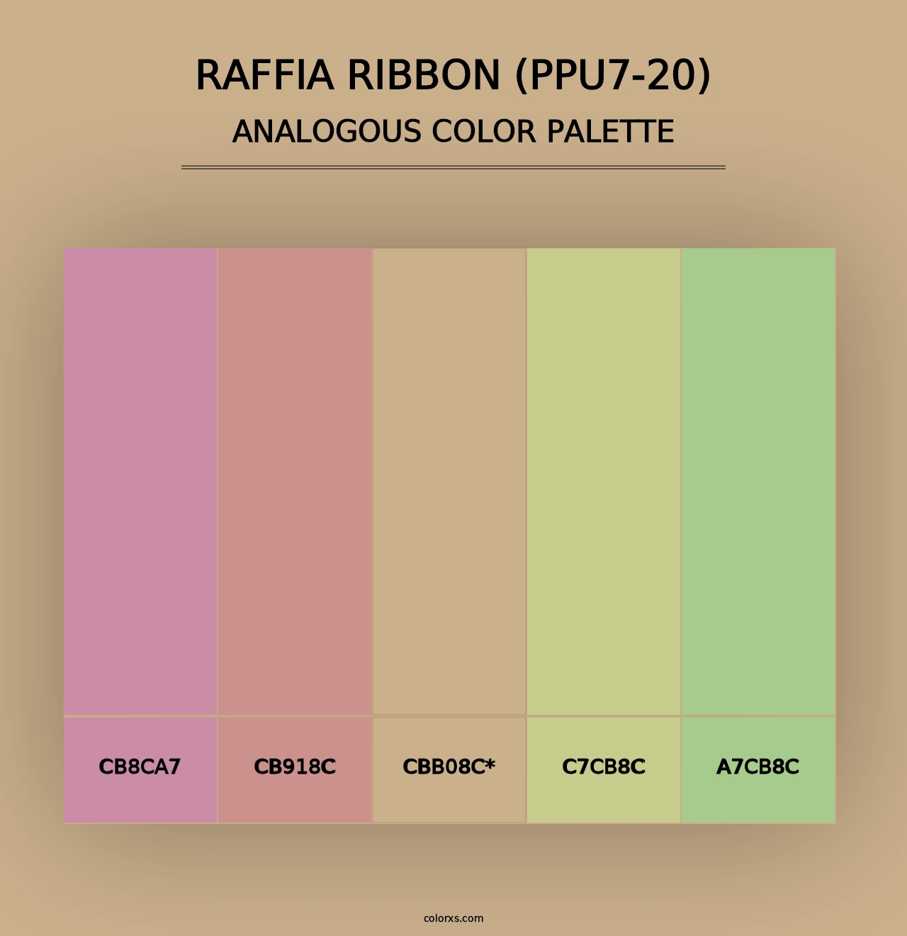 Raffia Ribbon (PPU7-20) - Analogous Color Palette