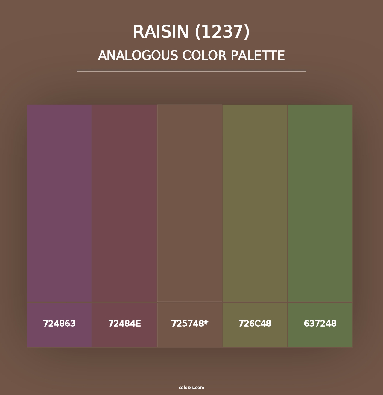 Raisin (1237) - Analogous Color Palette