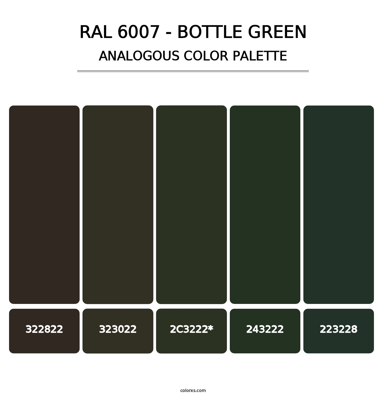 RAL 6007 - Bottle Green - Analogous Color Palette