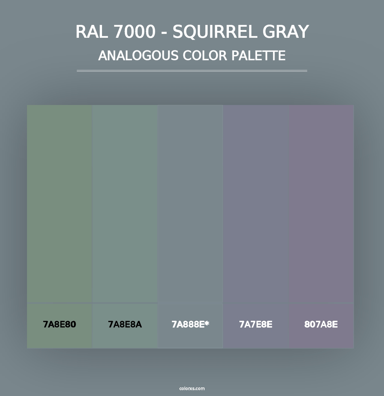 RAL 7000 - Squirrel Gray - Analogous Color Palette