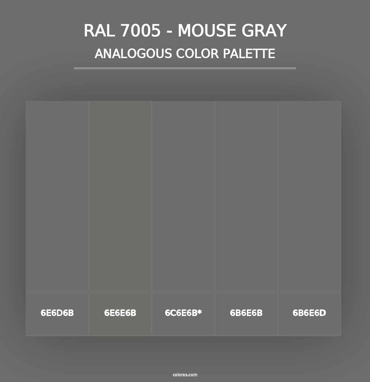 RAL 7005 - Mouse Gray - Analogous Color Palette