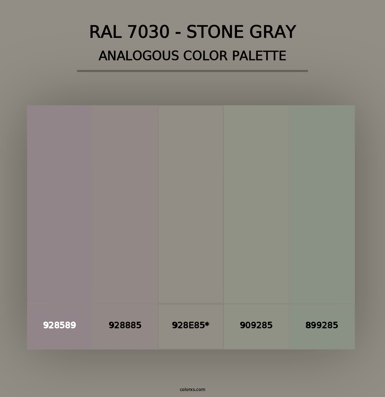 RAL 7030 - Stone Gray - Analogous Color Palette